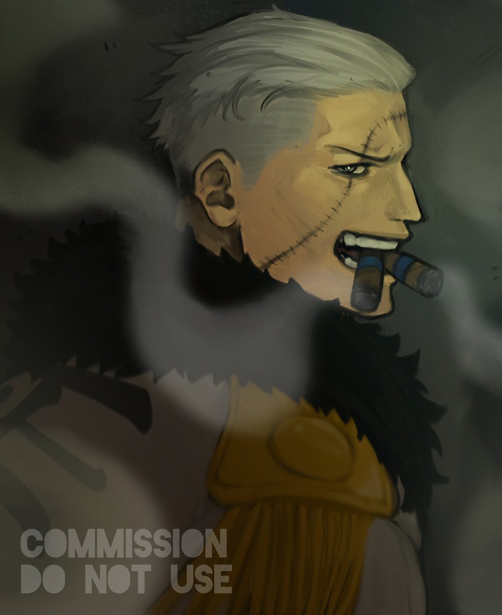 Commission for @/HolNation22 
#onepiece