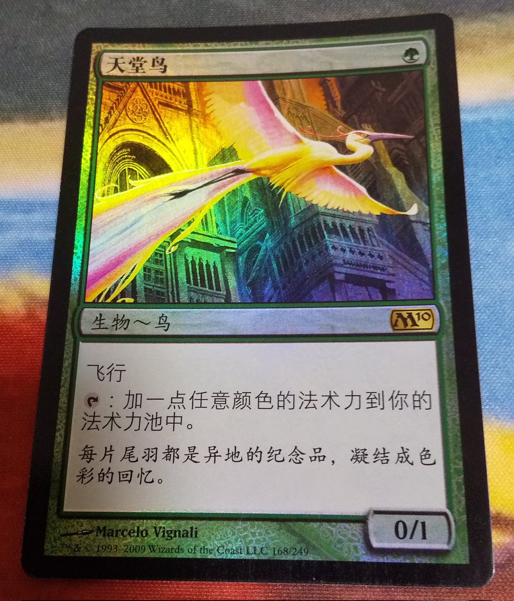 12/30 42.M12foil中国語繁体字 43.M11foil中国語簡体字 44.M10foil中国