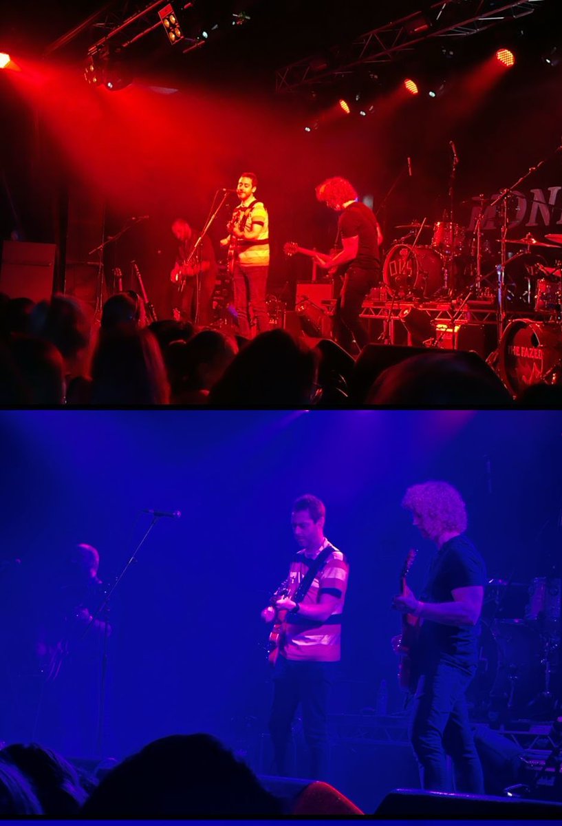 The Fazed tweet media