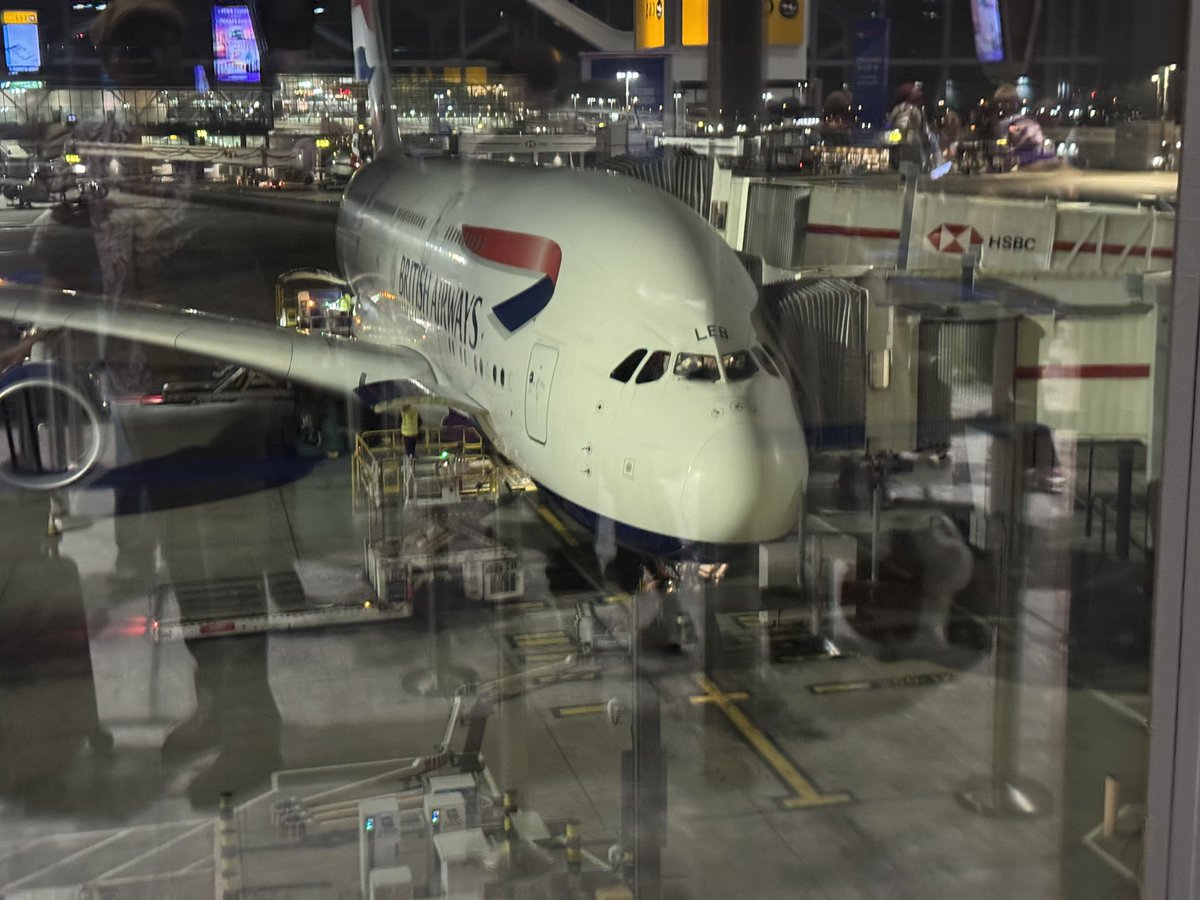 daddyhope's tweet photo. Machine ready…

I have seen only three or four black people on this flight, and I am already chuckling. Do these white folks even know they are flying straight into Trump’s imaginary genocide, the one he screams about regularly? 

They are walking bravely into danger that only exists in the Orange Man’s head🤣🤣🤣🤣🤣🤣