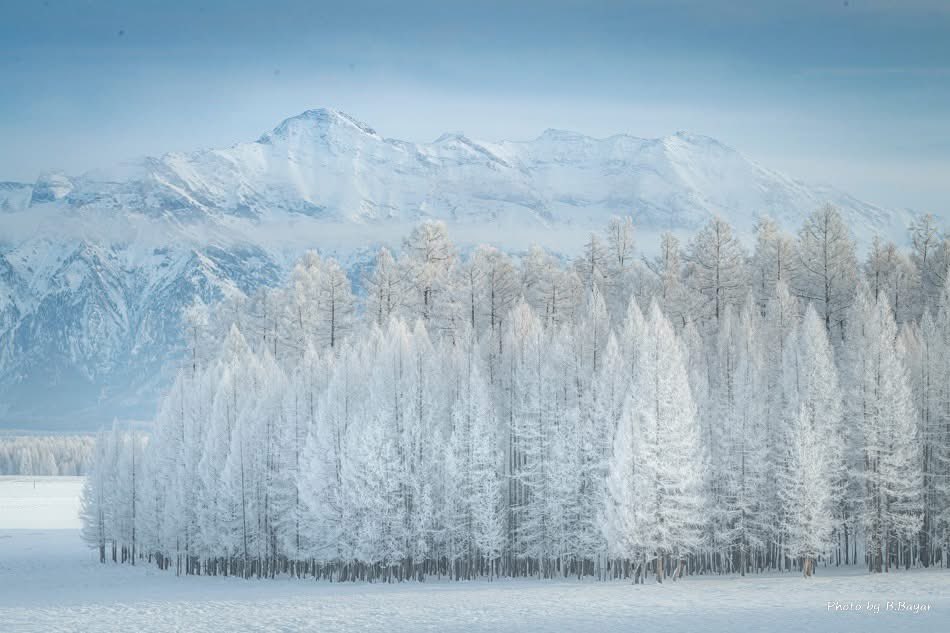 Өглөө бүхэн дандаа шинэ ❤️💙💜  
Айл бүрийн хаалгыг аз жаргал тогшиг ээ☀️🍀🌹
📷Bayar