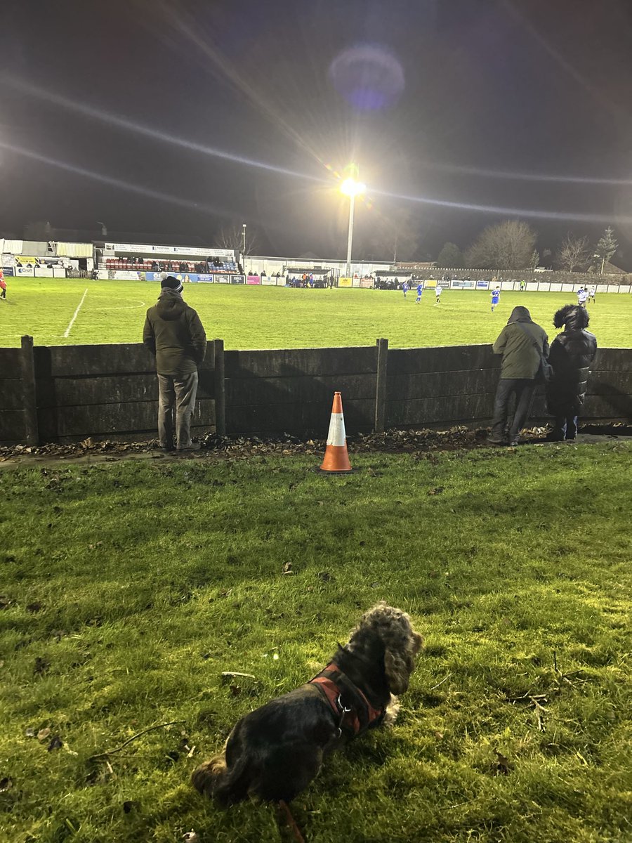 scorbishley92's tweet photo. Ralph at Bacup Boro v Squires Gate. https://t.co/pAXu1hDxAL