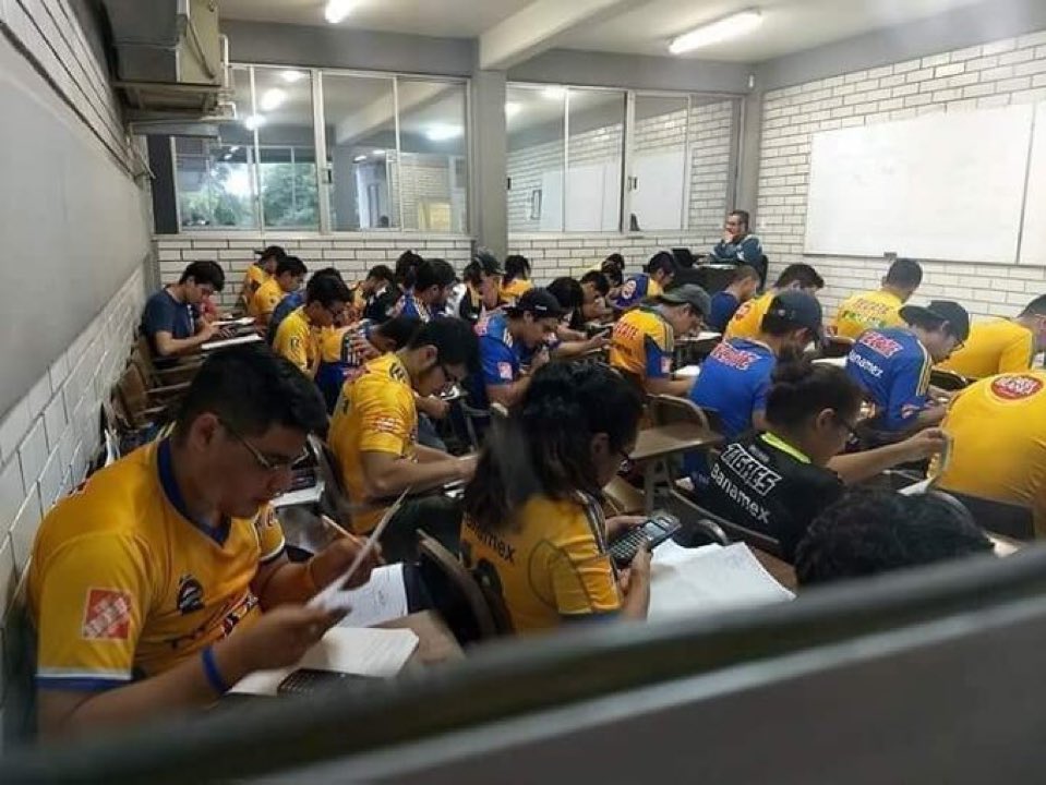 El bicho  tweet media