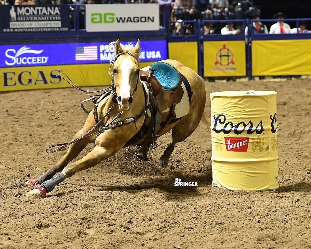 NFR - Peanut Seed with Katelyn Scott.
NFR - This amazing horse and rider fell on the first barrel. The horse got up and finished the run without her. She was fine &amp; got up right away and watched her horse finish the run on his own. 💥♥️🐎