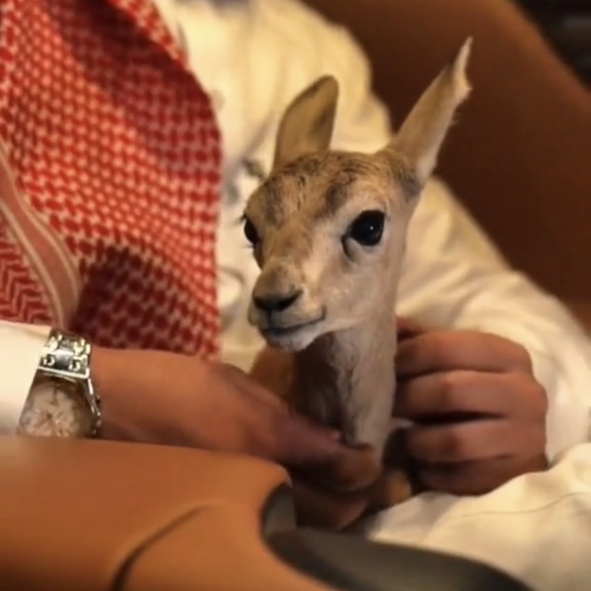 ㅤㅤㅤㅤ

͏ 

͏في زحمة الإعجاب و هتاف الحضور 
وش مطمعي بغيرك و أنا كلي معك