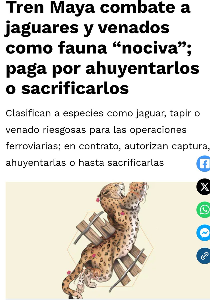 Dementhetv's tweet photo. Mientras tanto el tren maya destruyendo la selva y los animales que viven en ella https://t.co/d8asFbalQ8