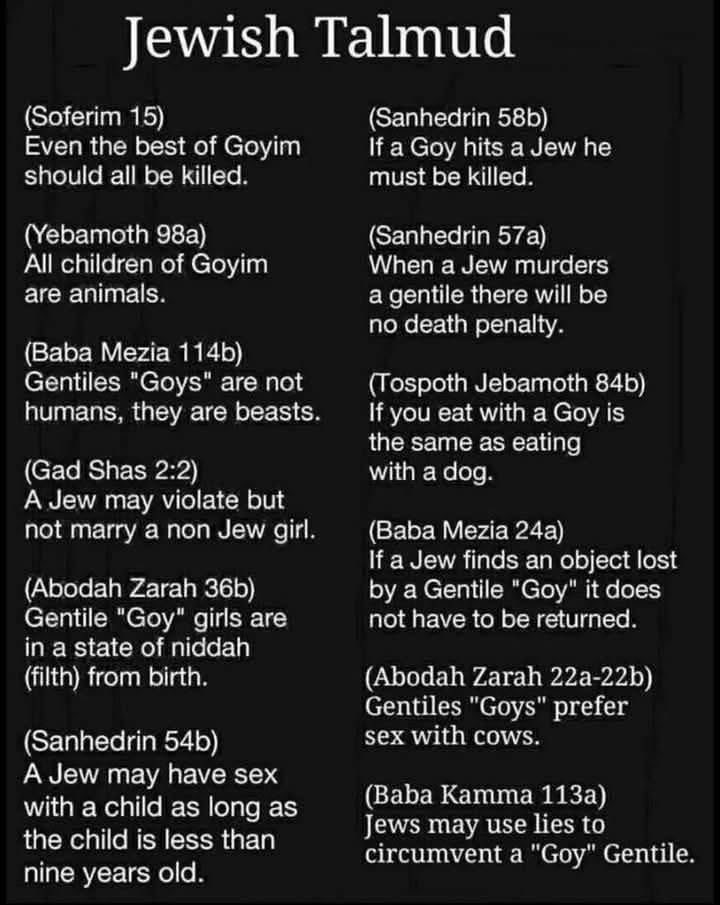 Harris Dib tweet media