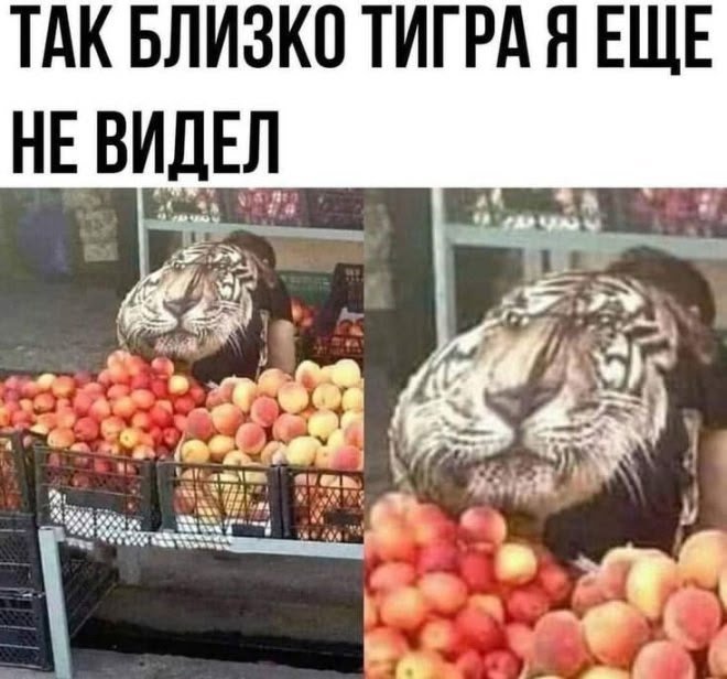 lLA1760035's tweet image. 😜😜😜