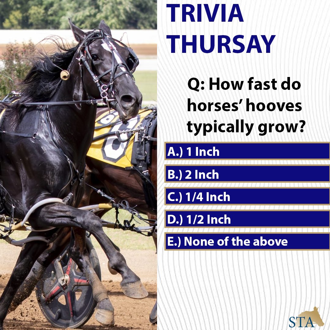 Standardbred Transition Alliance tweet media