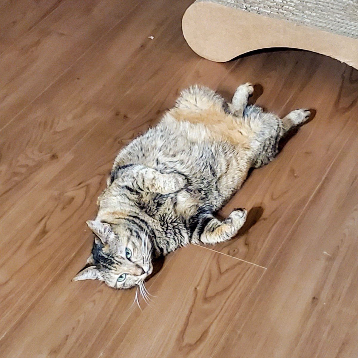 hana (@hana40710717) / Posts / X