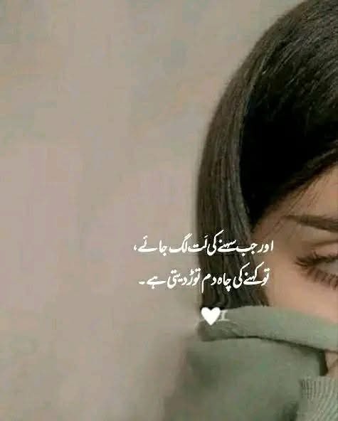 شکوے اتنے ہیں کہ۔۔۔۔۔۔۔ کتاب لکھ دوں ،
صبر اس قدر ، کہ ایک لفظ بھی نہ کہوں!

#اردو_زبان 
#TDR_now