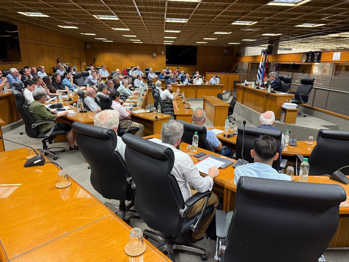 Carlos Daniel Camy tweet media