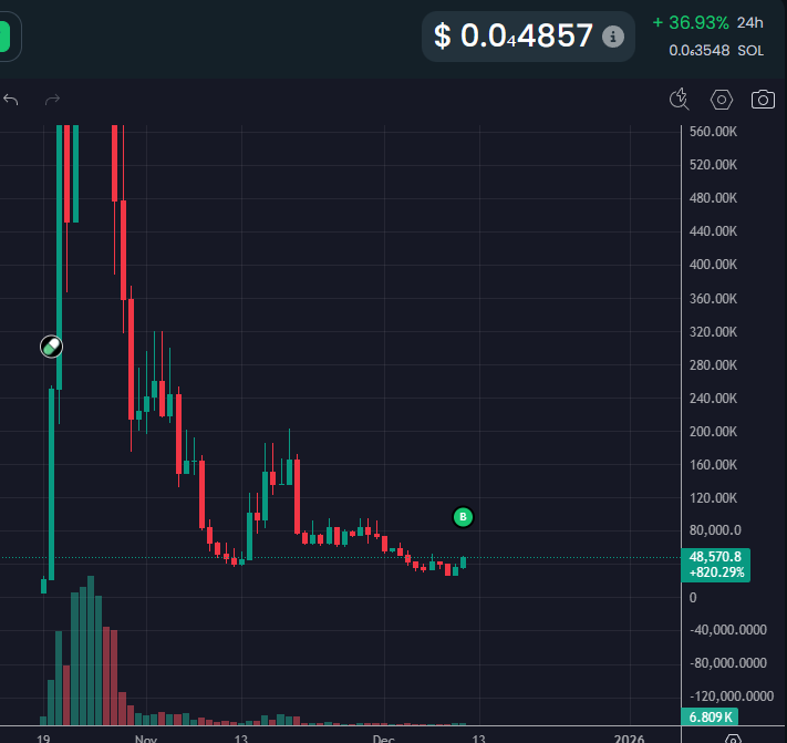 BabyWhale tweet media