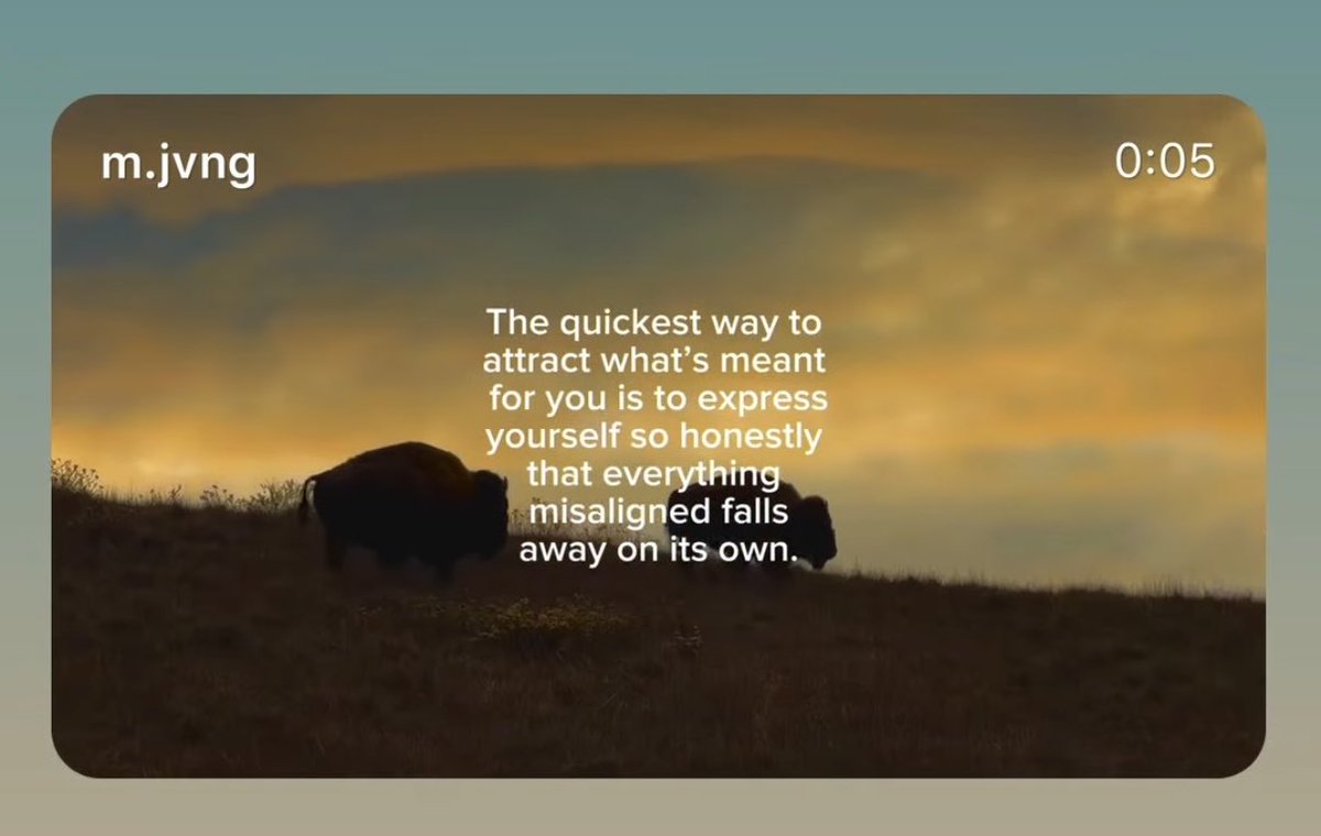 ᴍ 🏔️ (@mountainpilled) on Twitter photo 