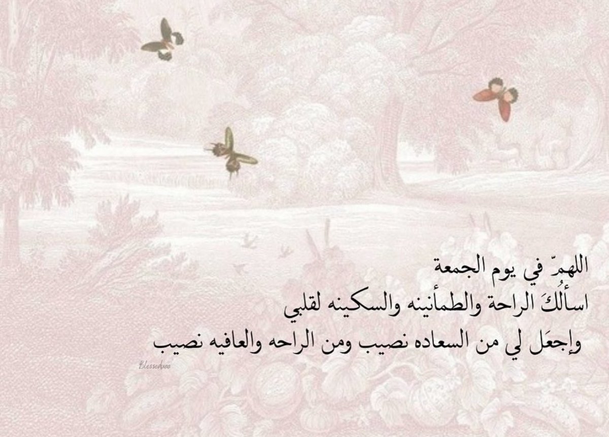 ✧ tweet media