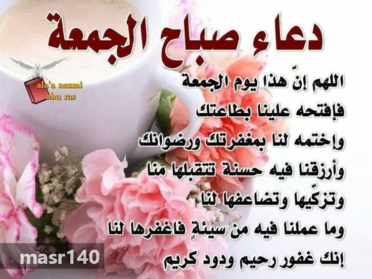 mansourmathkour's tweet photo. https://t.co/wokJjbBDA8