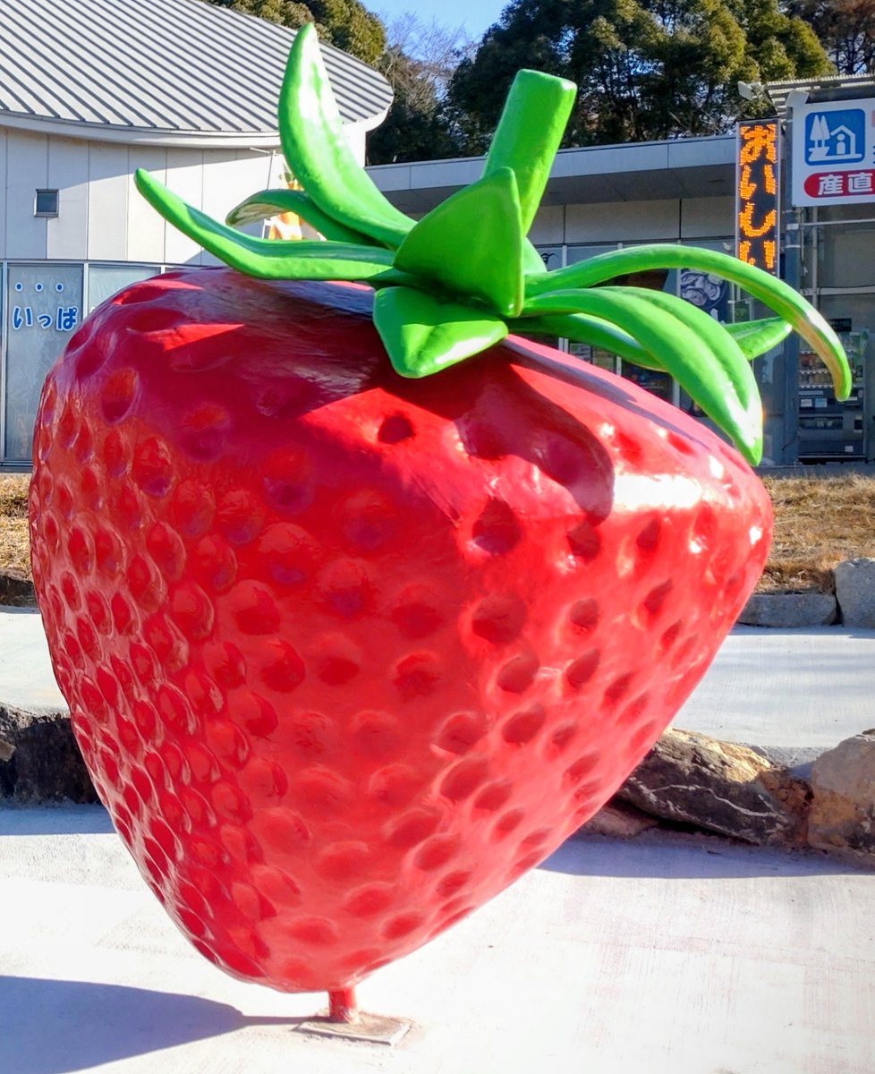 Risky（リスキー）音へのこだわりと日常のつぶやき (@Risky0516