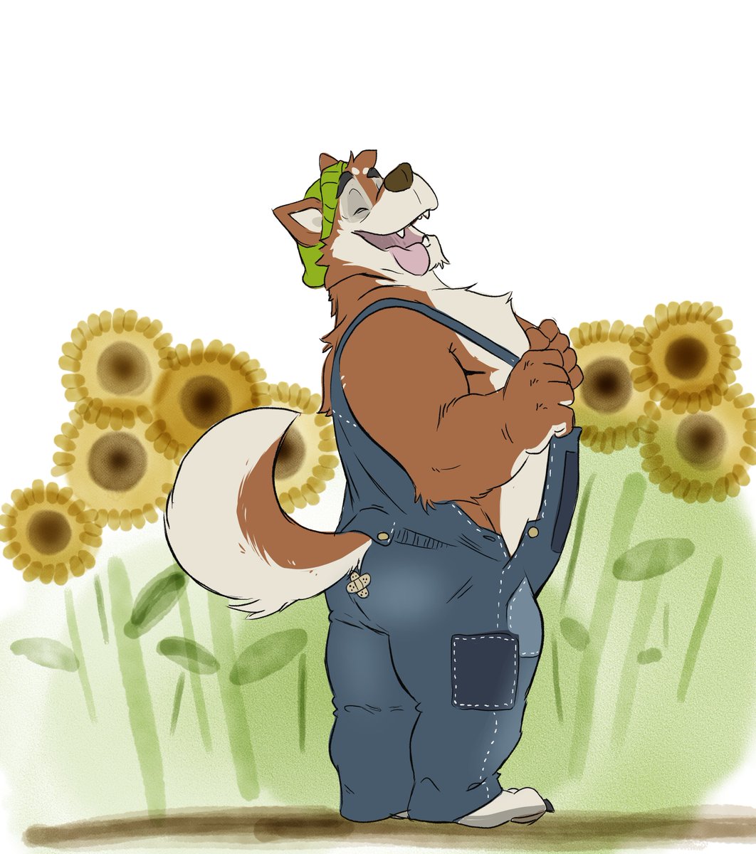 Professional Hamster tweet media