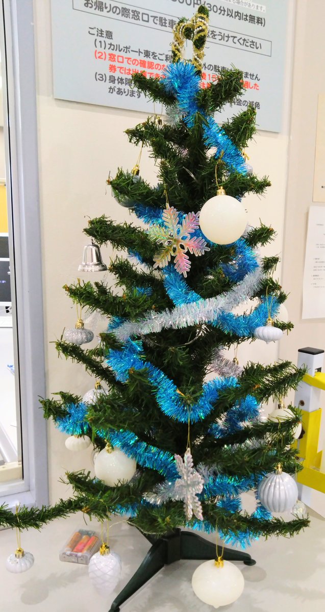 劇場ロビーとギャラリー入口に…

🎄クリスマスツリー🎄を飾りました✨

ご来館の際にはぜひ一緒に写真撮影📸してみてください♪