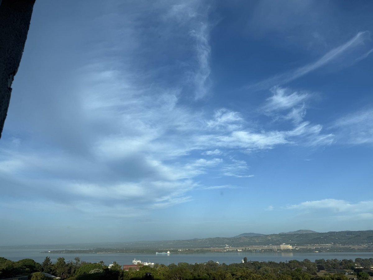 Manasi Kumar tweet media