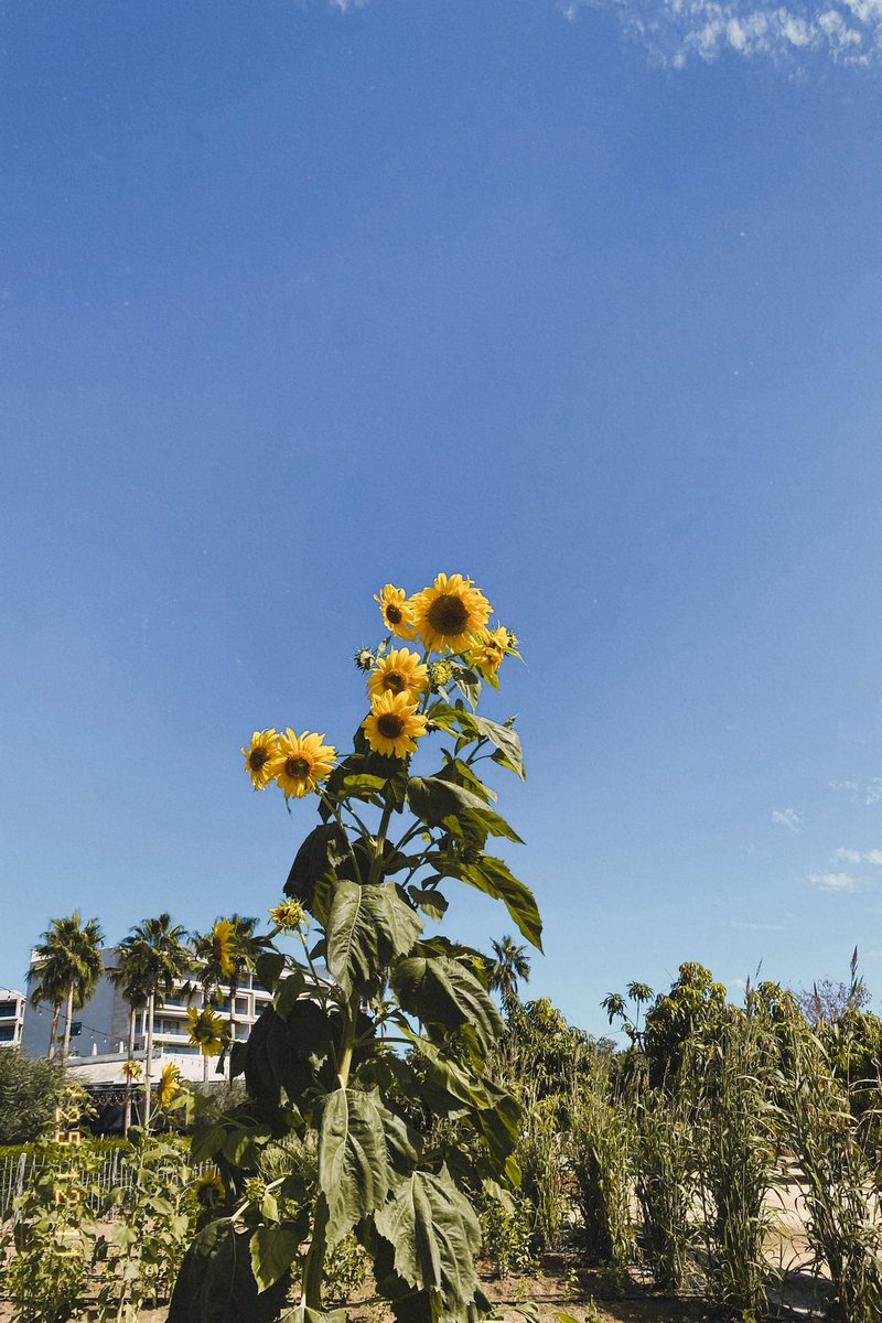 giabs's tweet image. it’s you and me, there’s nothing like this