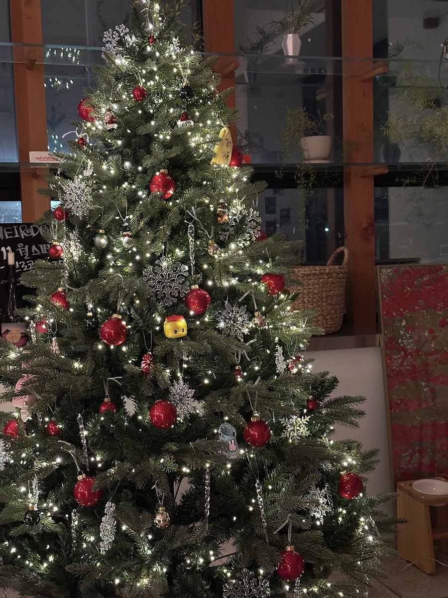 어때요 위어도우 트리에 제 에너지를 다 담아버렸어요 ㅋㅋㅌㅌ (너무 열심히 장식했다는 뜻 특별한 트리는 아닌데…)