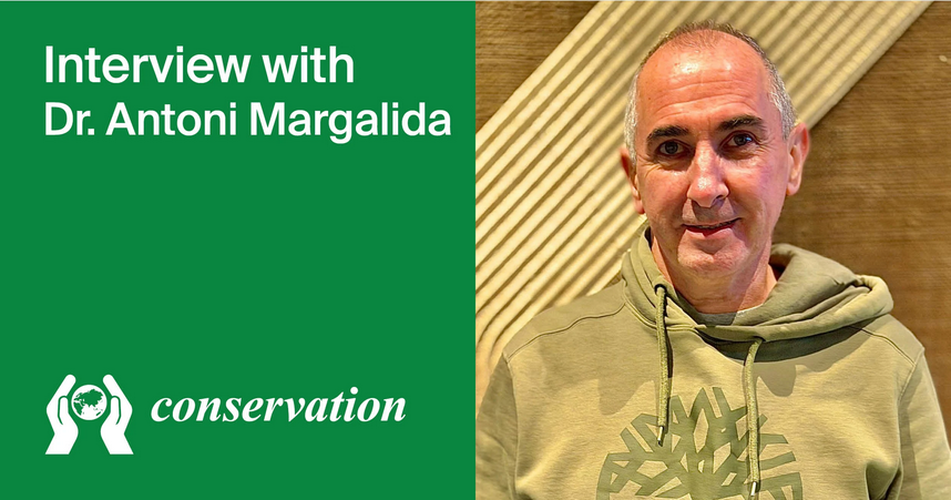 We are pleased to share an interview with Dr. Antoni Margalida—Editor-in-Chief of Conservation (ISSN 2673-7159)

See the full interview: mdpi.com/about/announce…

#MDPI #OpenAccess #Conservation_OA