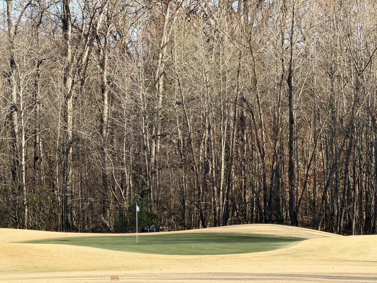 Phillip Carter tweet media