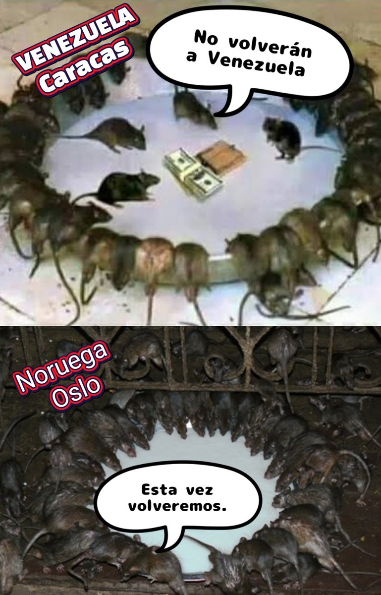 𝑪𝒆𝒔𝒂𝒓 𝑹𝒂𝒏𝒈𝒆𝒍.  ⭐⭐⭐ 𝕏 tweet media