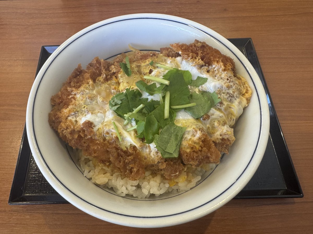 tatten01's tweet photo. #かつや の #年末感謝祭 で #カツ丼 (竹)649円をいただきました。サクサクな衣。甘めの味付け。美味しくいただき、満足っす！ https://t.co/XI6Q8Z9ttY