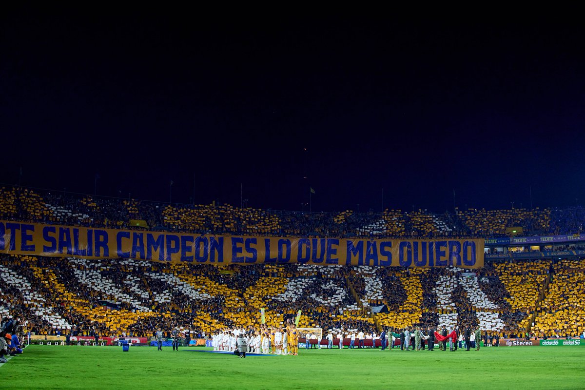 Club Tigres 🐯 tweet media