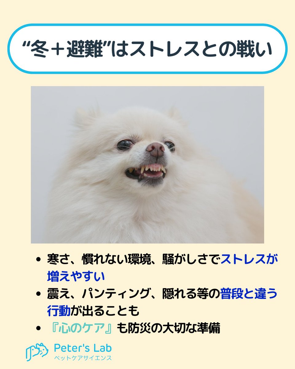 PetersLab_JP tweet picture