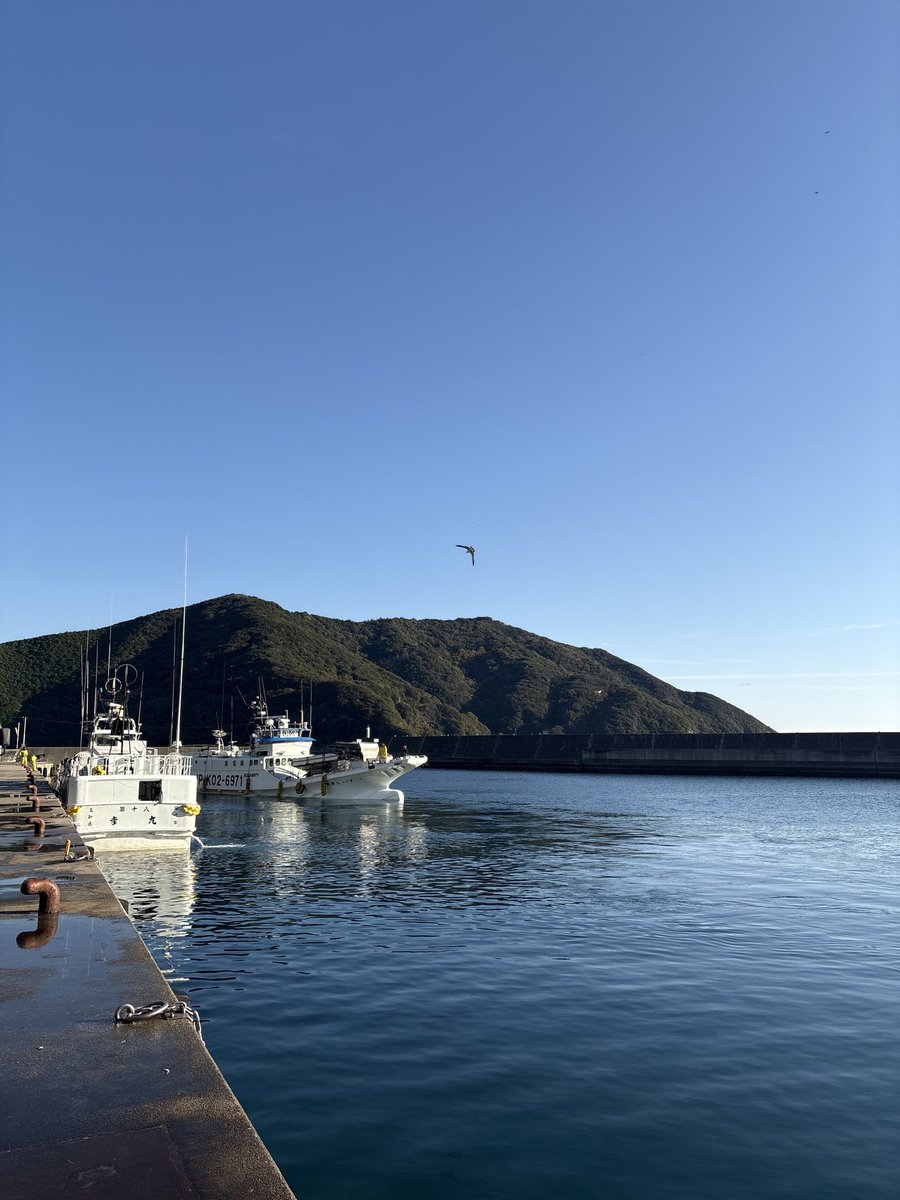 シゲモリユウ@マーケティングで地域貢献 tweet media