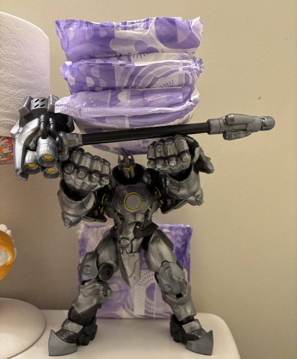 I was really worried where my action figures would go when I moved but we worked something out :)