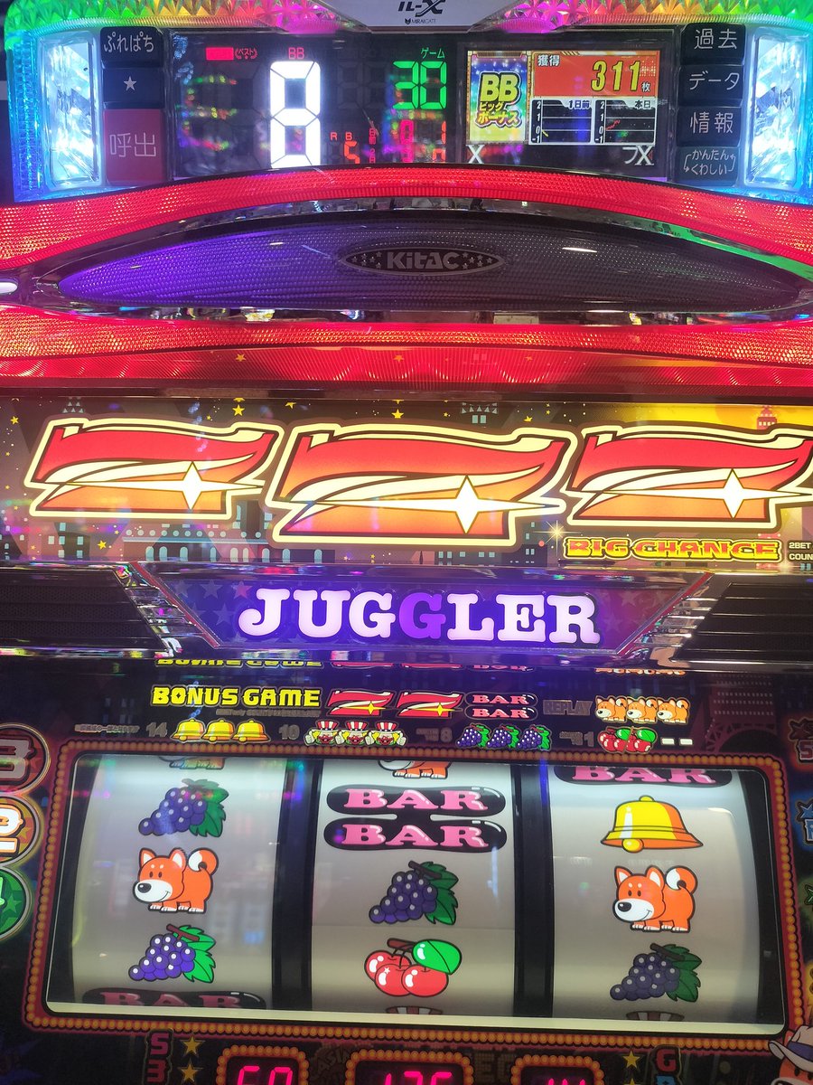 ドンちゃん (@donchan2027) / Posts / X