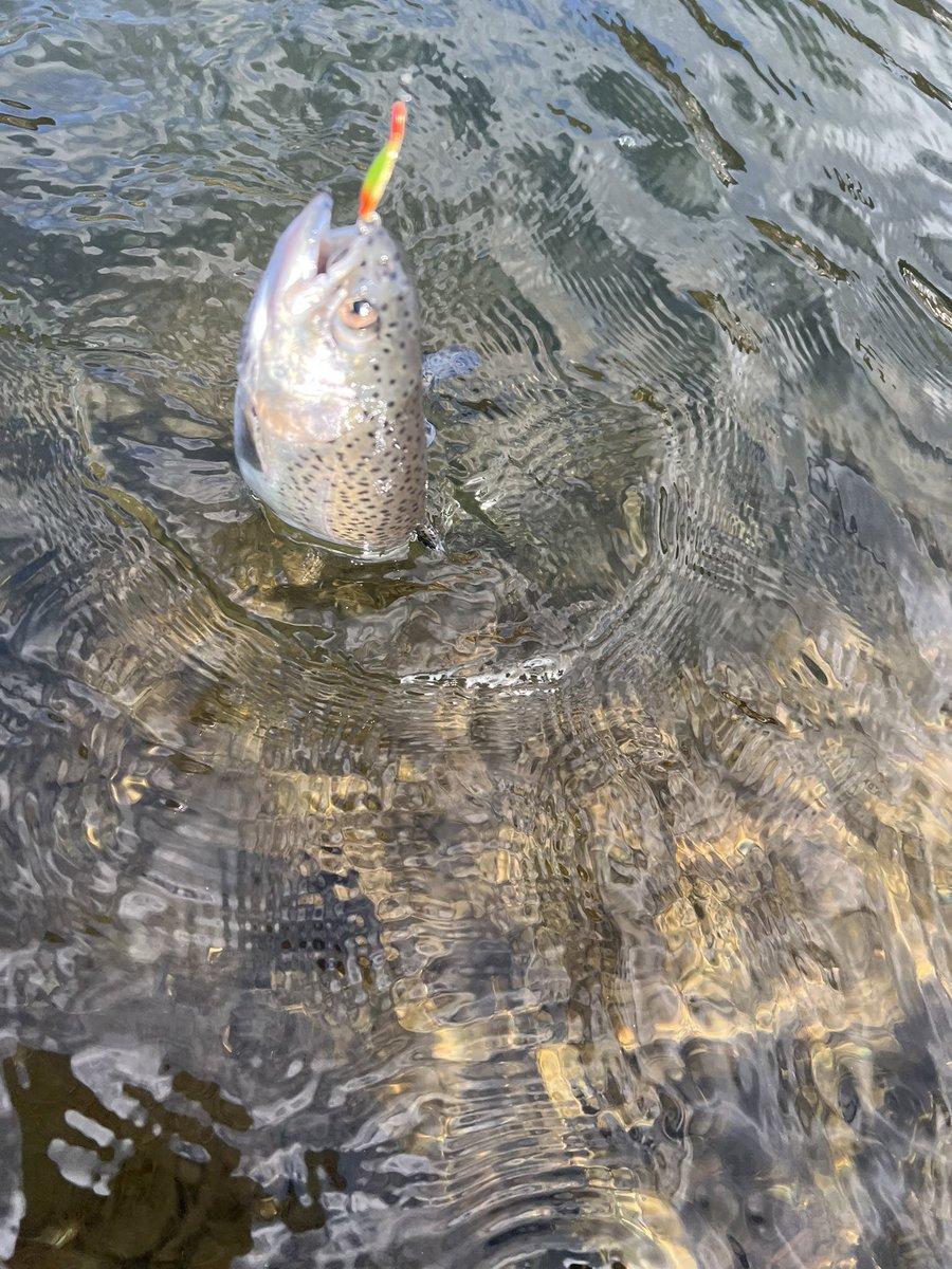 よったん (@yottanntann) / Posts / X