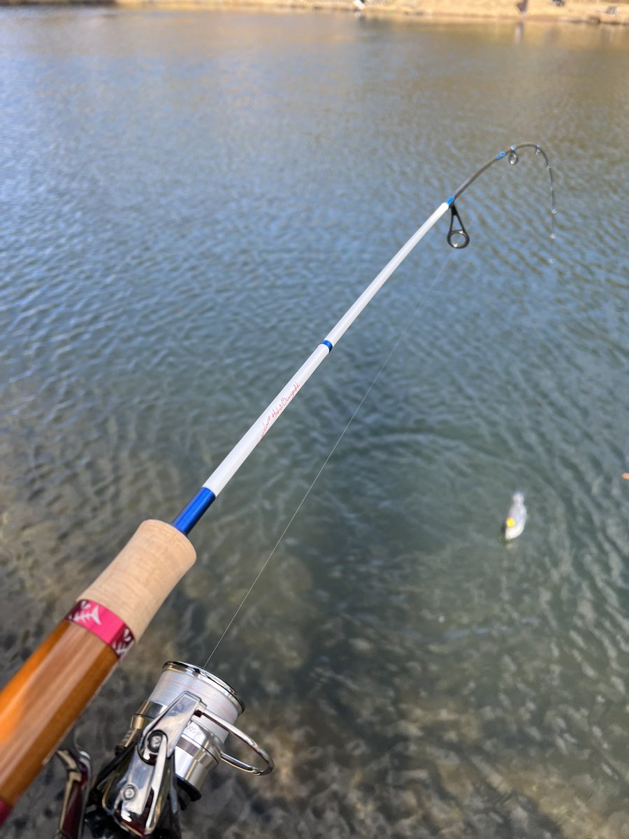 よったん (@yottanntann) / Posts / X