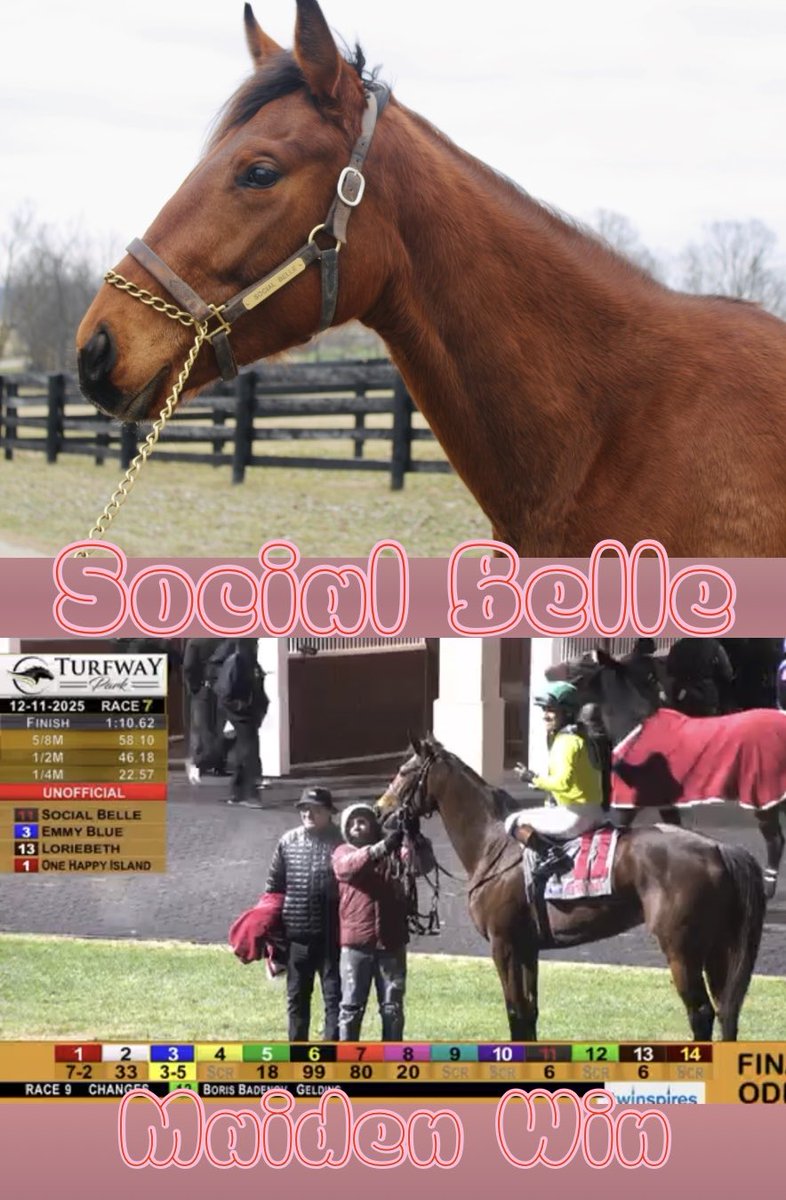 Great night action at <a href="/TurfwayPark/">Turfway Park Racing & Gaming</a> with SOCIAL BELLE breaking her maiden! She is a half sister to the champion By My Standards <a href="/spendthriftfarm/">Spendthrift Farm</a>. Congratulations to her group of owners and trainer <a href="/P_H_Lobo/">Paulo Henrique Lobo</a> 🎊🎊 #SSgrad