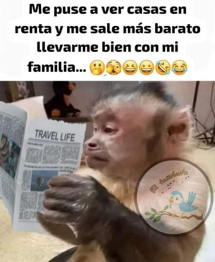 Yamileth. tweet media