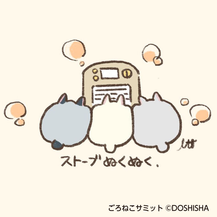 ごろねこサミット イトウ【公式】 tweet media