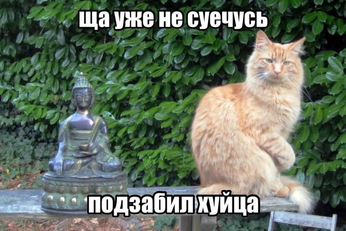 Max Grishin tweet media