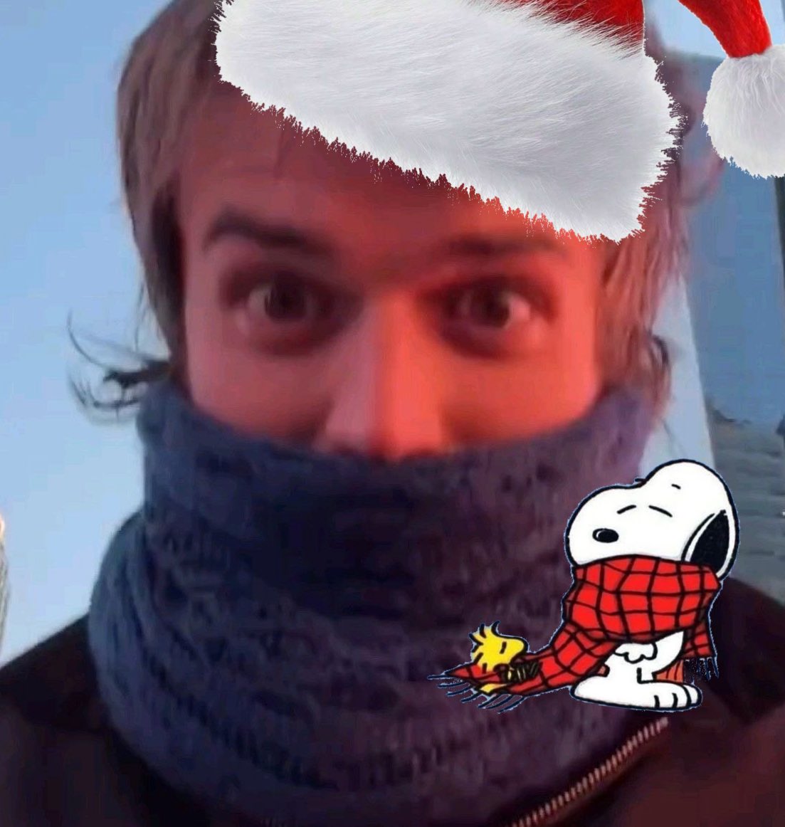 stevie .ᐟ.ᐟ.ᐟ ⟢ tweet media