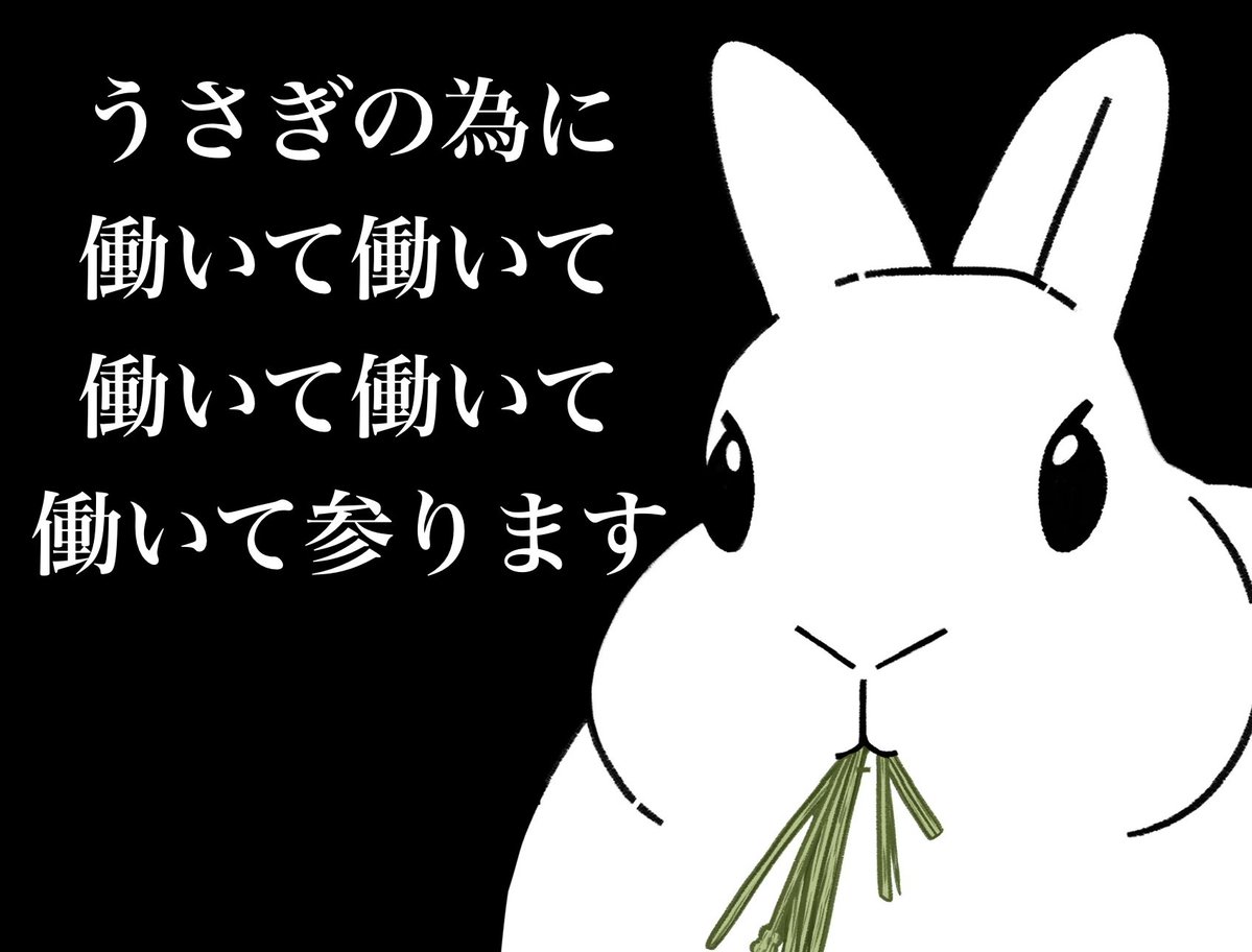 うさぎさん専用ページ これなら、納得👍🐰 （うちのウサギさんは虹の橋を渡ってしまったけど…🥹）