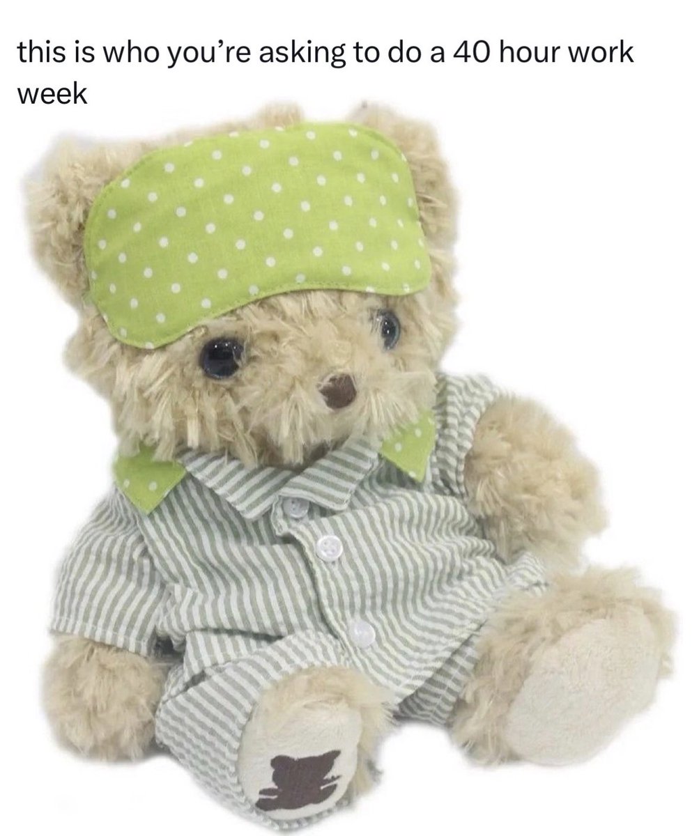 raccoon aesthetic. (@raccoonesthetic) on Twitter photo 