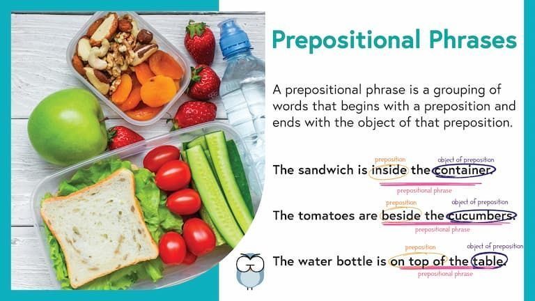Check out one of our memorable images on prepositional phrases and explore GrammarFlip for free with the link below!
buff.ly/dDLIdA9

#homeschool #homeschooling #edchat #englishteacher #k12education #teachersofX #teachertwitter #edutwitter