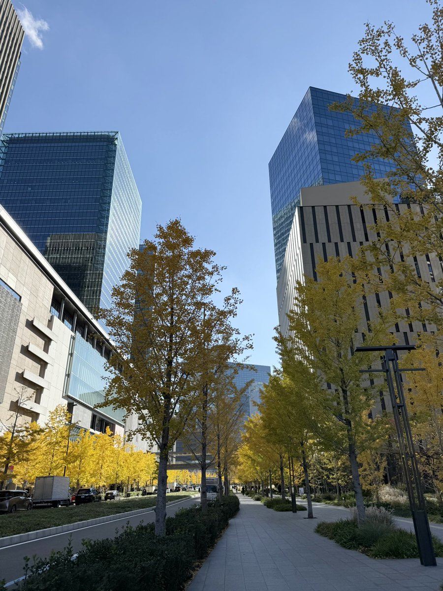 大阪での生活もやっと慣れてきた💛イチョウが綺麗でパシャリ〜✨