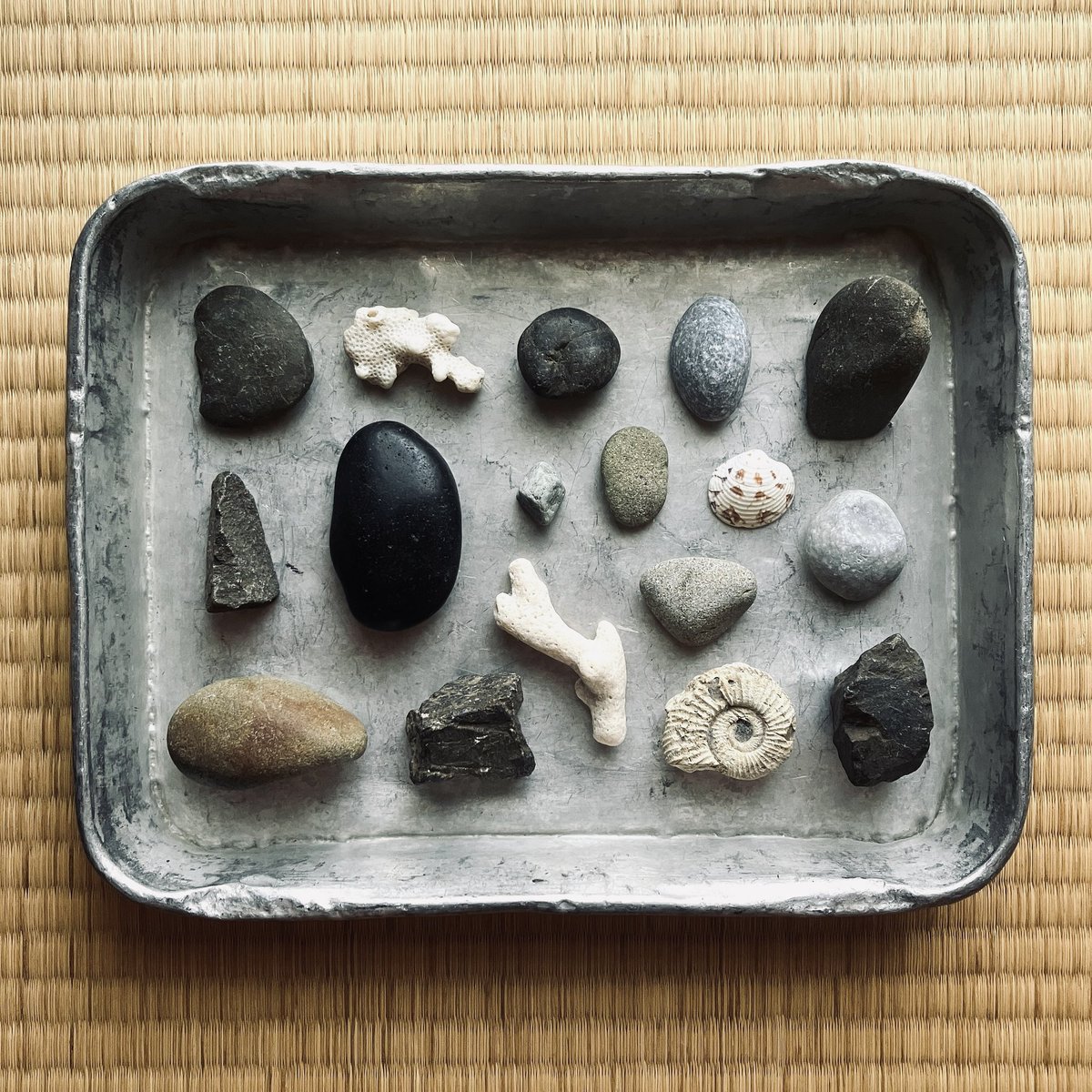 石に関する本や写真って、鉱石や宝石、或いは模様のきれいな石とか