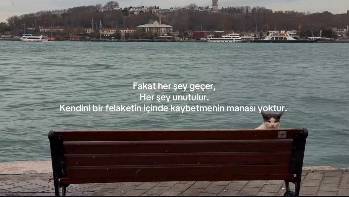 deiblervarixo (@deiblervarixo) on Twitter photo 