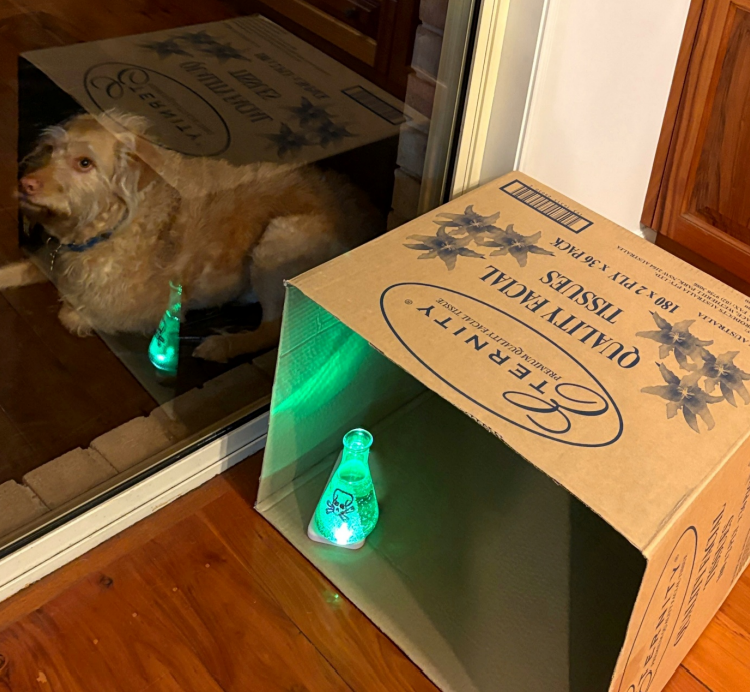 Australian Institute of Physics tweet media