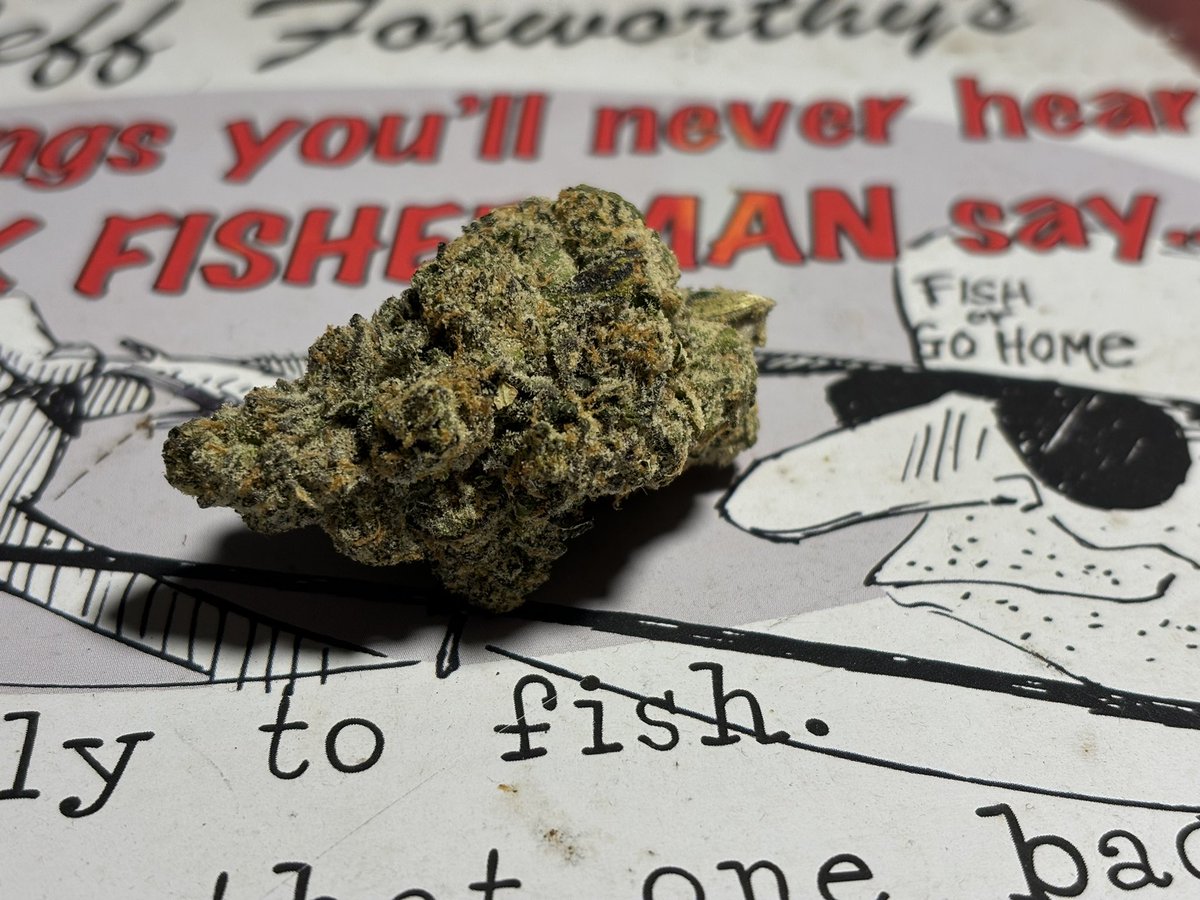 Seems to fall in line with catching…. Something, a buzz or Fishy Fingers #gardening 😮‍💨😊 <a href="/SixtySevenSins/">SixtySevenSins</a>